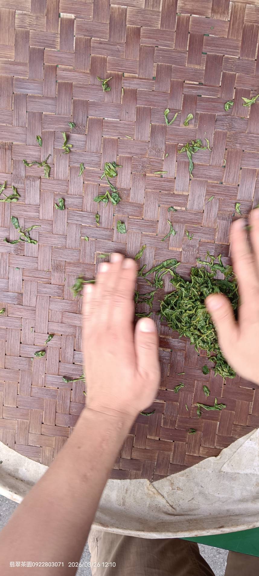 翡翠茶園文山包種